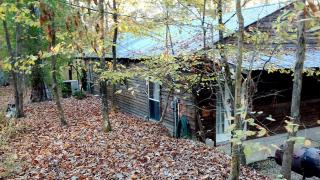 Secluded Forest Cabin Rental with Seasonal Pool near Natchez, Mississippi - - 0
