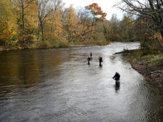 Cozy Three-Bedroom Cabin Near The Salmon River in Altmar, New York - Altmar - 2