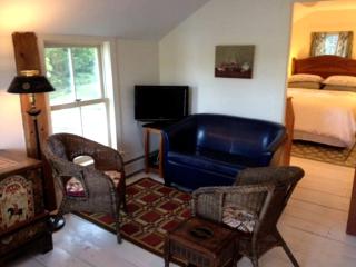 Riverfront Cabin with Beautiful Views of Housatonic River in Great Barrington, Massachusetts - - 1