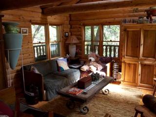 Family-Friendly Getaway Cabin near the Yuba River, California - Nevada City - 2