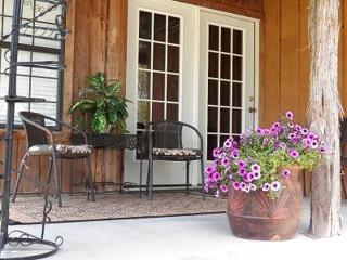 Cozy Cabin near the Gaudalupe River in Old Ingram Loop, Texas - Ingram - 6