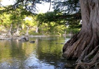 Cozy Cabin near the Gaudalupe River in Old Ingram Loop, Texas - Ingram - 4