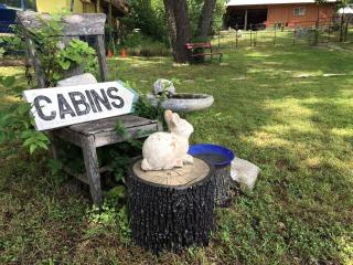 Cozy Cabin near the Gaudalupe River in Old Ingram Loop, Texas - Ingram - 3