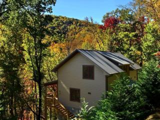 Secluded Cabin Surrounded by Woodlands in Blowing Rock, North Carolina - Blowing Rock - 0