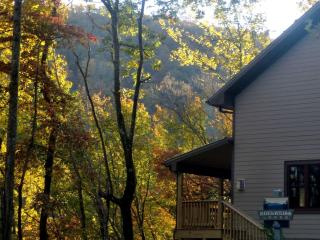 Secluded Cabin Surrounded by Woodlands in Blowing Rock, North Carolina - Blowing Rock - 8