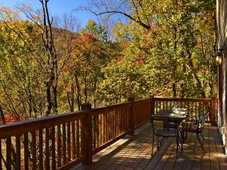 Secluded Cabin Surrounded by Woodlands in Blowing Rock, North Carolina - Blowing Rock - 6