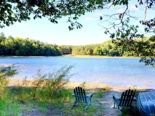 Cozy Lakefront Cabin Rental in the Woodlands of Empire, Michigan - Empire - 9