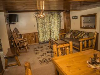 Magnificent A-Frame Cabin Rental in the Trees close to Hocking Hills State Park, Ohio - Laurelville - 7