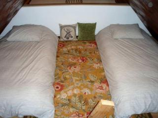 Pet-Friendly Cabin Rental Overlooking a River near Skykomish, Washington - Baring - 2