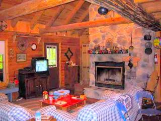 Spacious and Rustic Cabin Rental in the Woods near Catoctin Mountain Park, Maryland - Thurmont - 9
