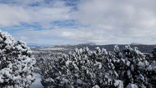 Calming Vacation Rental in the Sandia Mountains near Albuquerque, New Mexico - Cedar Crest - 1