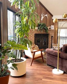 Secluded Cabin Rental with Forest Views outside of Baltimore - 7