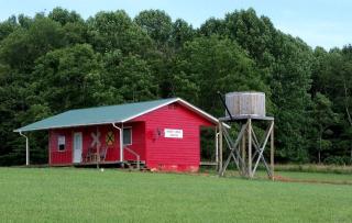 Cozy One-Bedroom Cabin Rental in Blue Ridge Mountains of Virginia - Fancy Gap - 9