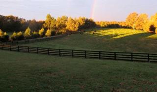 Remodeled Cabin Rental Built in 1790 near Scottsville, Virginia - 3