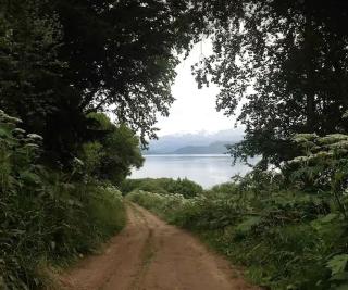 Secluded Tiny House near Kilcher Beach in Homer, Alaska - Homer - 3
