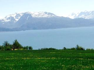 Secluded Tiny House near Kilcher Beach in Homer, Alaska - Homer - 1