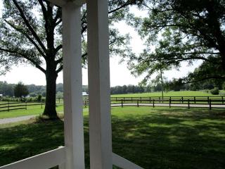 Serene Countryside Cottage Rental with Screened Porch near Charlottesville, Virginia - Louisa - 6