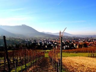 Ferienwohnungen Dieterich - Beuren - 4