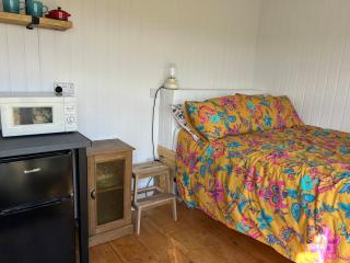 Shepherds hut in 7 acre field - 3