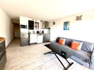 T2 Poulen, climatise vue mer , parking inclus NON FUMEUR - 9