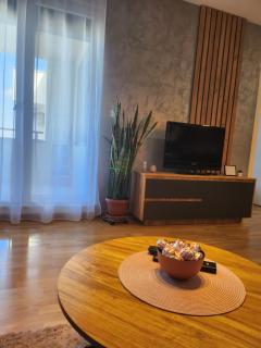Apartman NS FREE PARKING - Novi Sad - 5