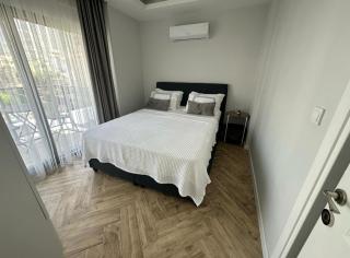 Villa Hisar - 3