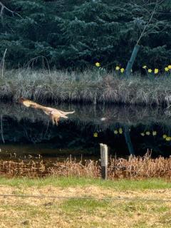 Willowbarn Rafford Self Catering - Forres - 3
