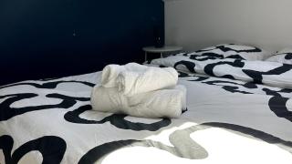 Le bleu - T2 cozy à 50m de la gare - Nevers - 5
