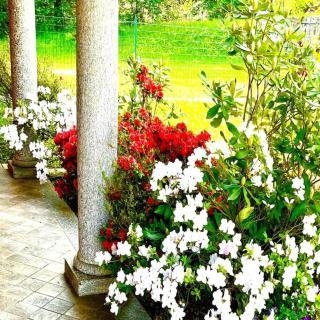 Dream Villa in Stresa - Stresa - 4