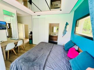 Studio chic & champêtre - Aussonne - 1