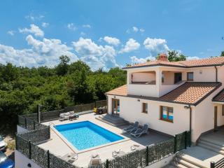 Mountain Retreat with Private Pool and Grill in Radmani, Croatia - Radmani - 3