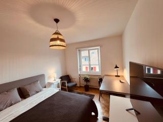 Cozy room in Basel - Basel - 3