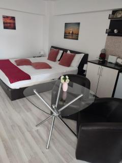 Sophia Central Studio 2 - Iaşi - 4