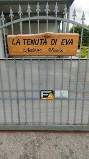 La tenuta di Eva - Pisa - 2