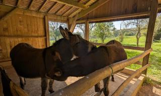 Hameau des Galottières- En immersion dans le Perche - Ceton - 4
