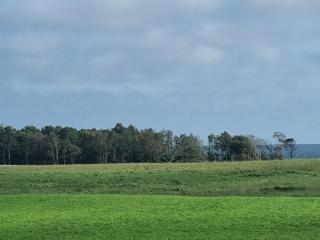 Feriehus - Lista Nesheim - Farsund - 2