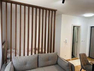 Apartman MM Vrnjacka Banja - Vrnjci - 2