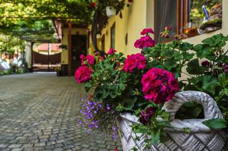 Pensiunea Călin - 3