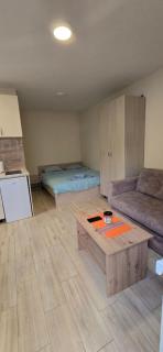 Apartaman Ana 5 - Kravlja - 3