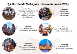 Appartements duplex 3 et 4 personnes - Proche Marchés de Noël - Route des Vins - Centre Alsace - 5