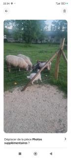 L'étang du griffolet 3 - Ussac - 4