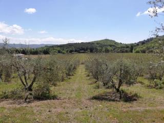 Agriturismo Debbione Maro' - Suvereto - 1