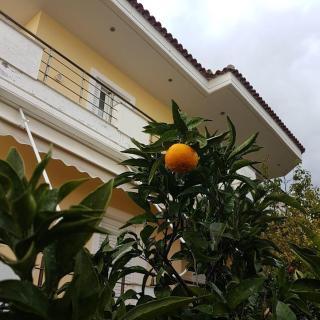 Kristianna Apartments - Dhërmi - 0