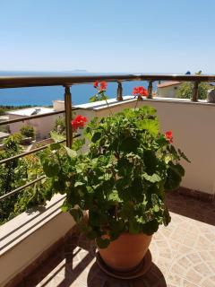 Kristianna Apartments - Dhërmi - 5