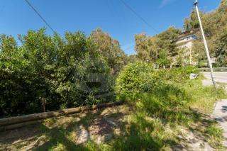 Casa dell'Asino - Goelba - Fetovaia - 6
