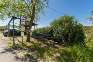 Casa dell'Asino - Goelba - Fetovaia - 3