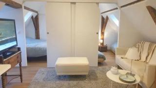 Maison spacieuse à Sainte-Croix-en-Plaine avec jardin - Sainte-Croix-en-Plaine - 4