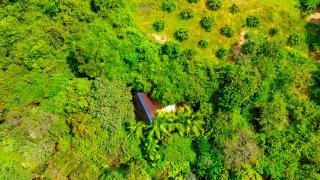 Sigiriya Eco Tree House - Sigiriya - 1