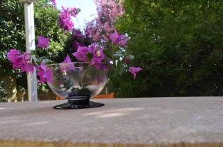 FANTASTIC SARDINIA VILLETTE CON GIARDINO Fronte Mare Fertilia FAHO-GAV01-GAV02 - 5