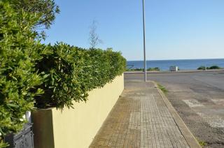 FANTASTIC SARDINIA VILLETTE CON GIARDINO Fronte Mare Fertilia FAHO-GAV01-GAV02 - Fertilia - 3